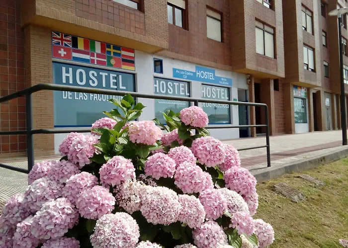 Hostel de las Facultades Santander